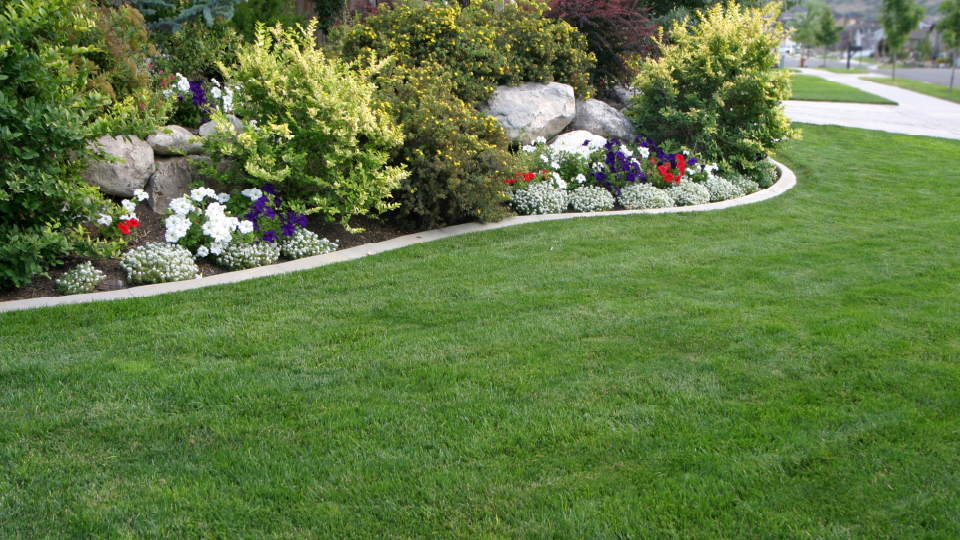 Landscaping