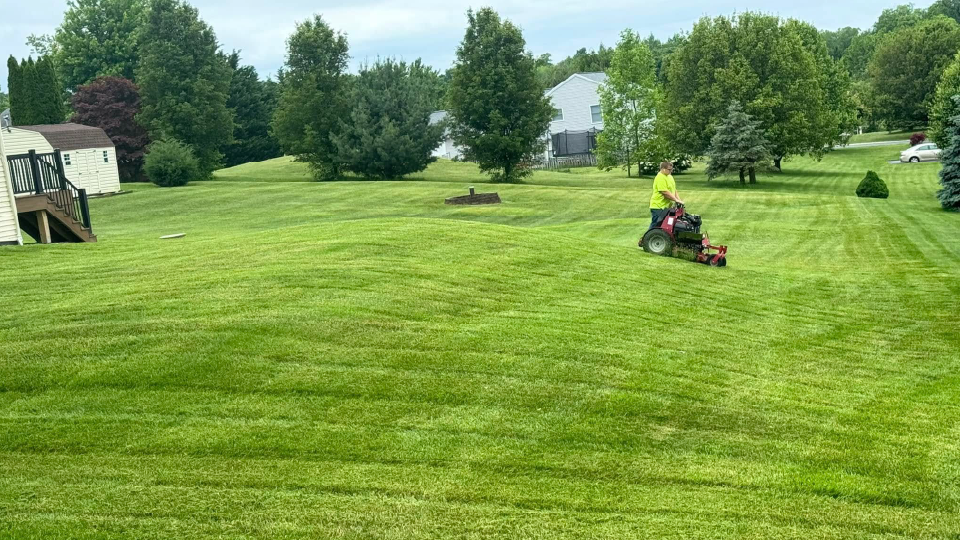 Lawn Mowing
