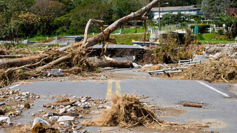 Storm Cleanup